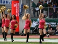 AFL Week IV, Danube Dragons vs. AFC Rangers