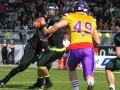 AFL Week V, Raiffeisen Vikings vs. Danube Dragons