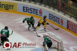 AUT, EBEL, UPC Vienna Capitals vs HDD TELEMACH Olimpija Ljubljan