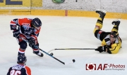 AUT, EBEL, UPC Vienna Capitals vs KHL Medvescak Zagreb